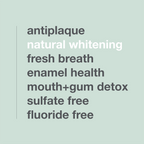 Davids premium toothpaste  /  spearmint